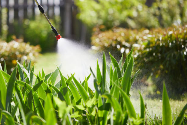 24/7 Emergency Fumigation Services experts in Ortonville, MN